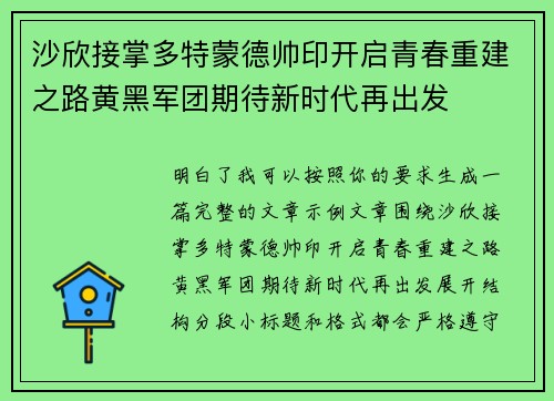 沙欣接掌多特蒙德帅印开启青春重建之路黄黑军团期待新时代再出发